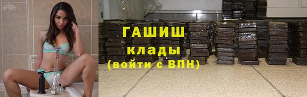 прущие грибы Богородицк