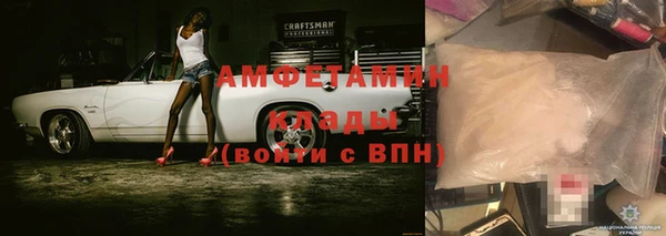 прущие грибы Богородицк