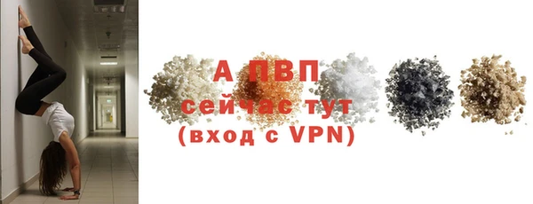 прущие грибы Богородицк