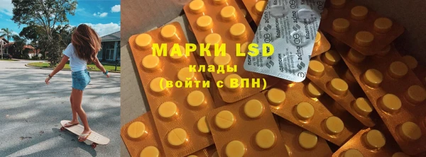 прущие грибы Богородицк